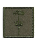 Нашивка Flotte Protection Group Royal Marines армии Великобритании, новая
